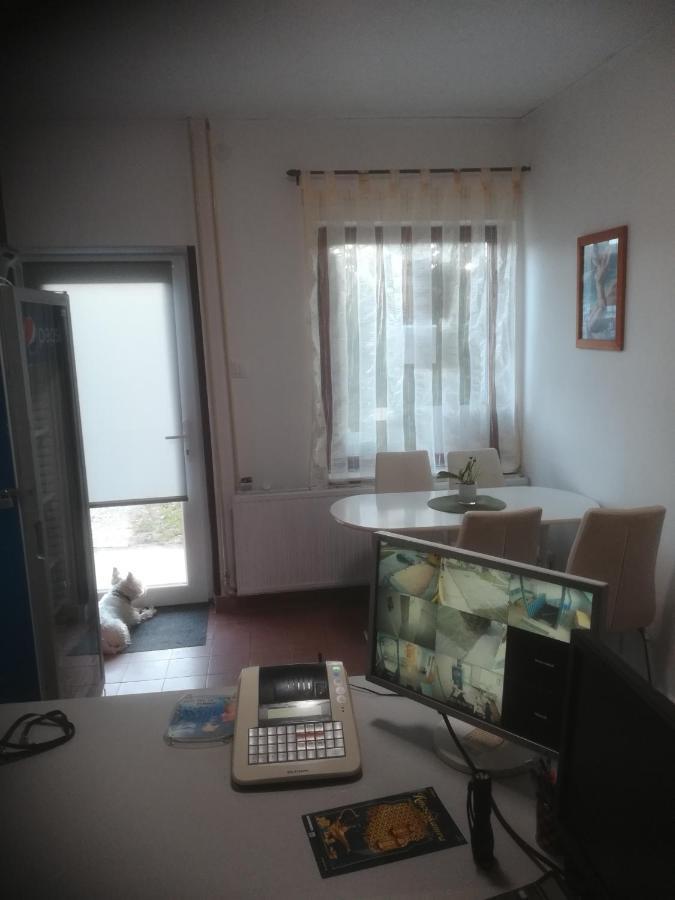 Fekete Macska Panzio Otel Tata Dış mekan fotoğraf